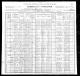 1900 United States Federal Census-1.jpg