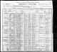 1900 United States Federal Census.jpg