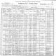 1900 New York Census for Peter MCGLYNN, age 50, laborer - Vassar College, immigrated 1865, and family: