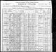 1900 NY Census for Walter BAGNALL, age 31, Silver Spinner, immigration year 1884, and family: