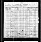 1900 New York Census for Lawrence SHEEDY age 47, tinsmith, and family: